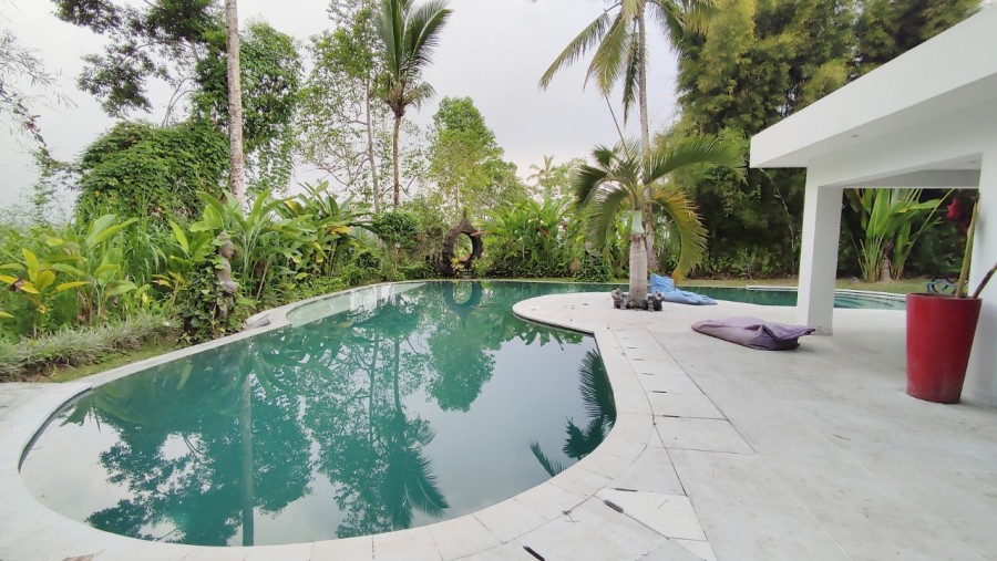 Ubud,Bali,Indonesia,6 Bedrooms,6 Bathrooms,Villa,MLS ID