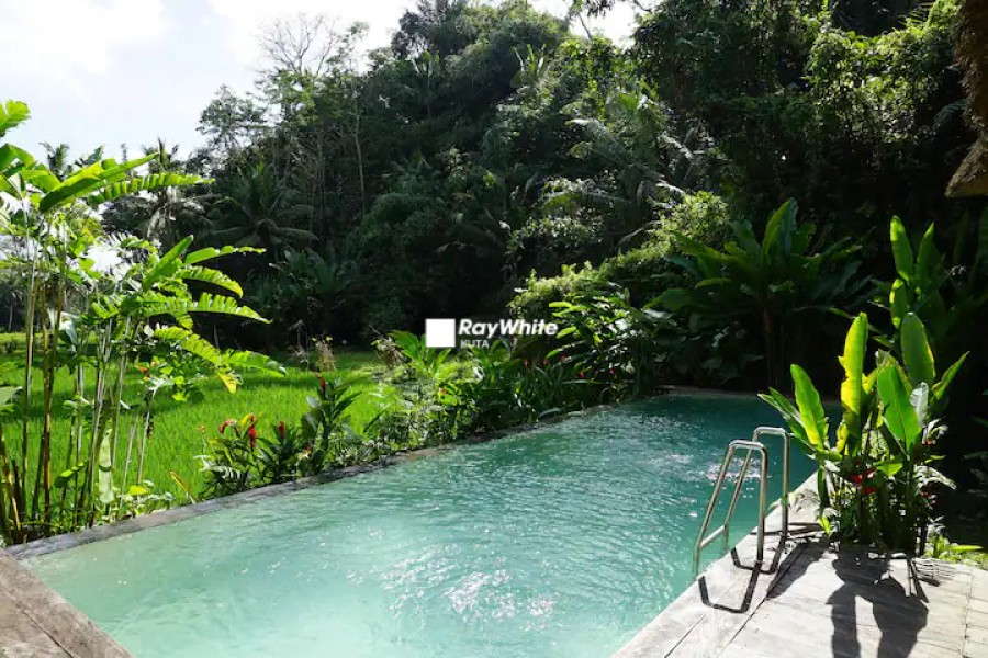 Ubud,Bali,Indonesia,7 Bedrooms,7 Bathrooms,Villa,MLS ID