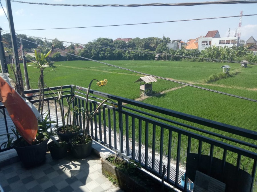 Denpasar,Bali,Indonesia,4 Bedrooms,2 Bathrooms,Residential,MLS ID