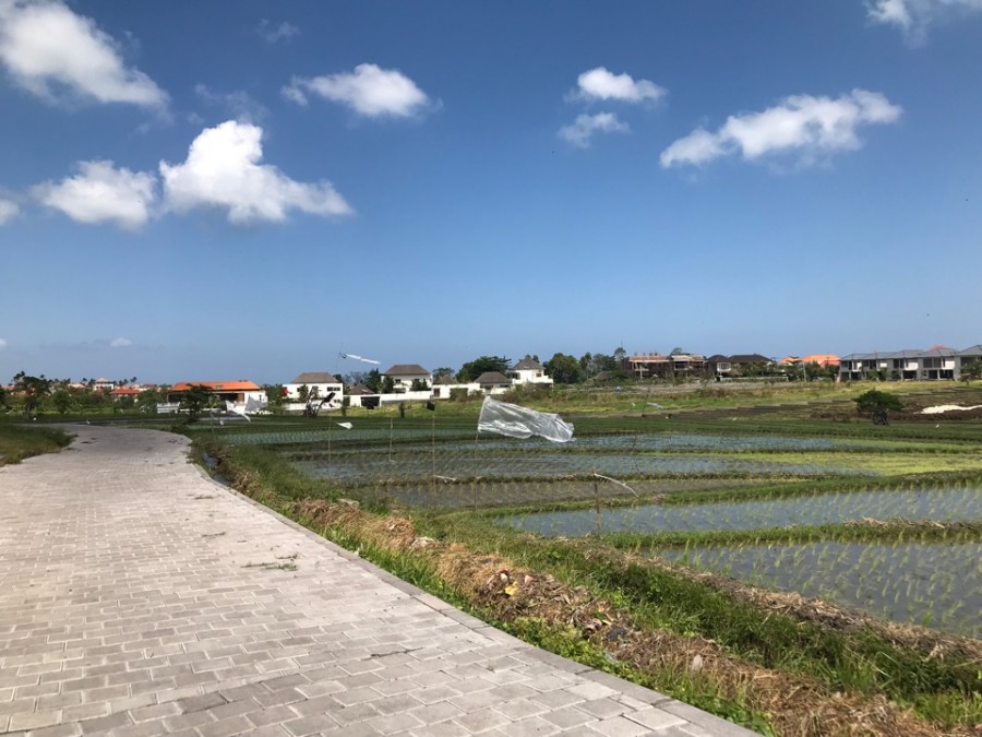 Canggu,Bali,Indonesia,Land,MLS ID