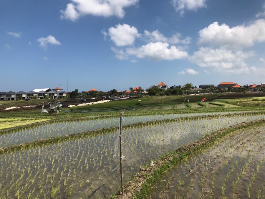 Canggu,Bali,Indonesia,Land,MLS ID