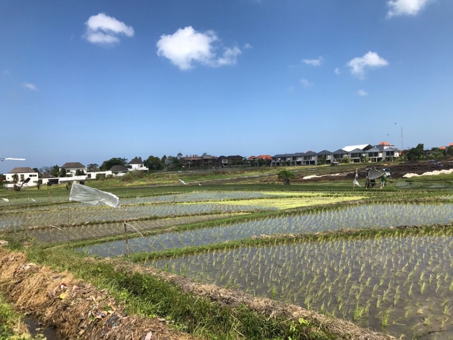 Canggu,Bali,Indonesia,Land,MLS ID