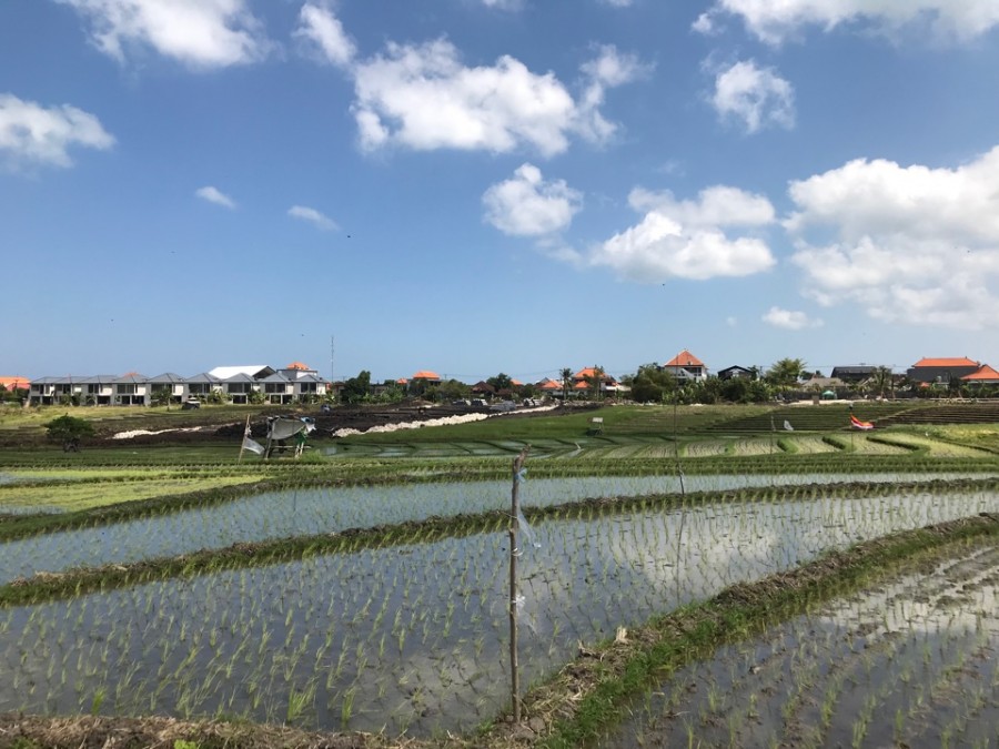 Canggu,Bali,Indonesia,Land,MLS ID