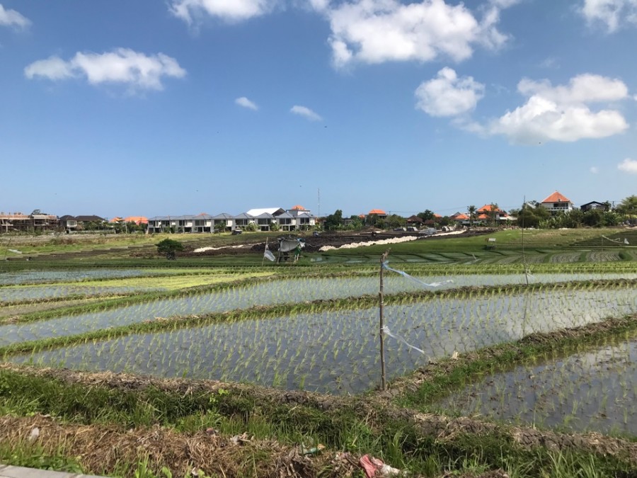 Canggu,Bali,Indonesia,Land,MLS ID