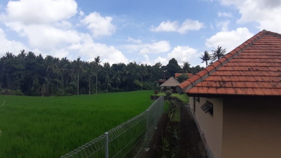 Ubud,Bali,Indonesia,Land,MLS ID