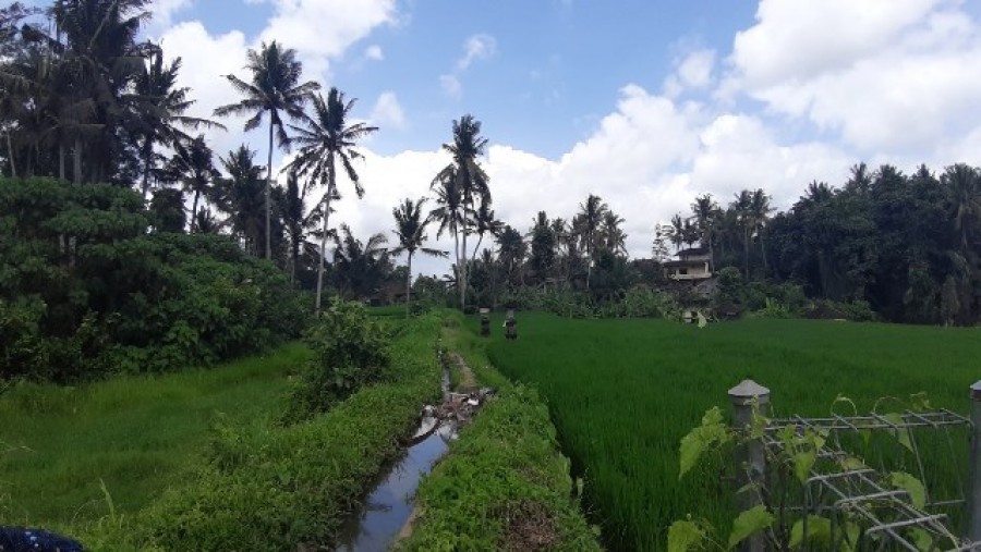 Ubud,Bali,Indonesia,Land,MLS ID