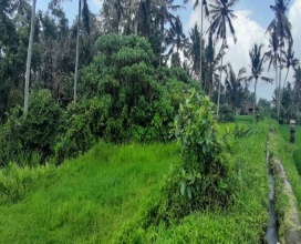 Ubud,Bali,Indonesia,Land,MLS ID