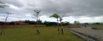 Canggu,Bali,Indonesia,Land,MLS ID