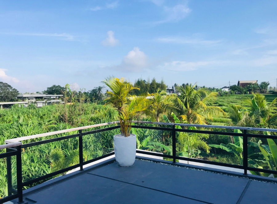 Canggu,Bali,Indonesia,3 Bedrooms,4 Bathrooms,Villa,MLS ID