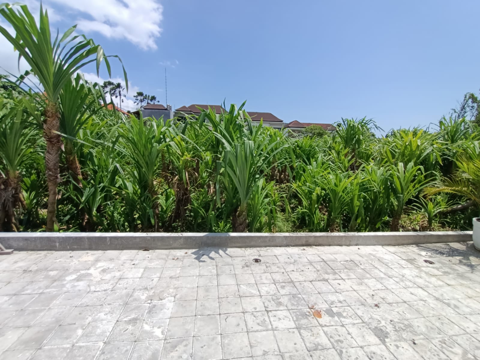 Canggu,Bali,Indonesia,3 Bedrooms,4 Bathrooms,Villa,MLS ID