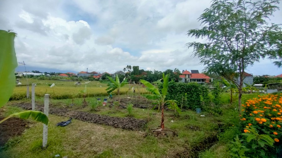 Kerobokan,Bali,Indonesia,Land,MLS ID