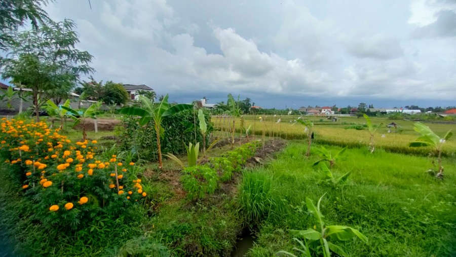 Kerobokan,Bali,Indonesia,Land,MLS ID