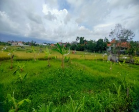 Kerobokan,Bali,Indonesia,Land,MLS ID