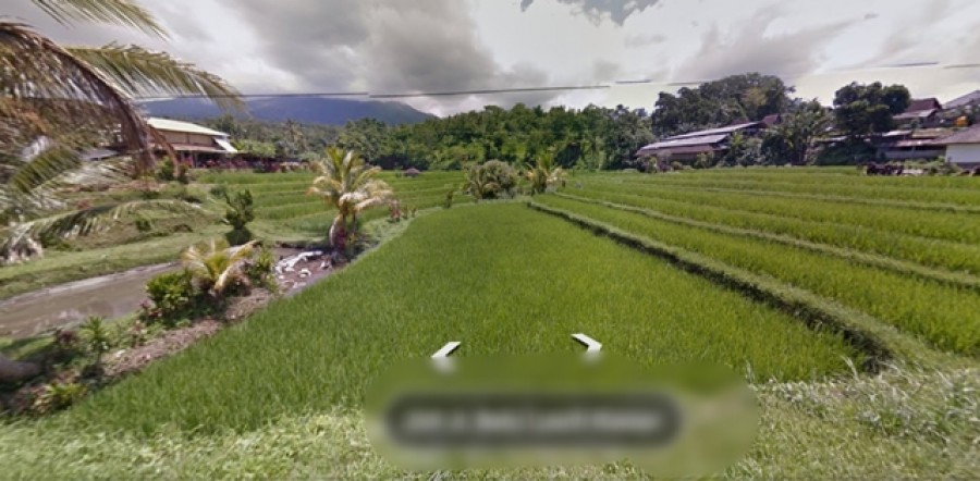 Tabanan,Bali,Indonesia,Land,MLS ID