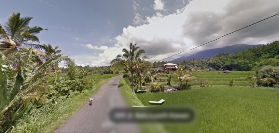 Tabanan,Bali,Indonesia,Land,MLS ID