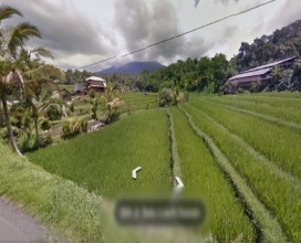 Tabanan,Bali,Indonesia,Land,MLS ID