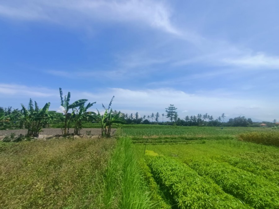 Gianyar,Bali,Indonesia,Land,MLS ID