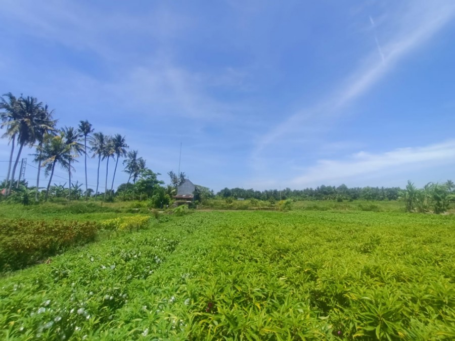 Gianyar,Bali,Indonesia,Land,MLS ID