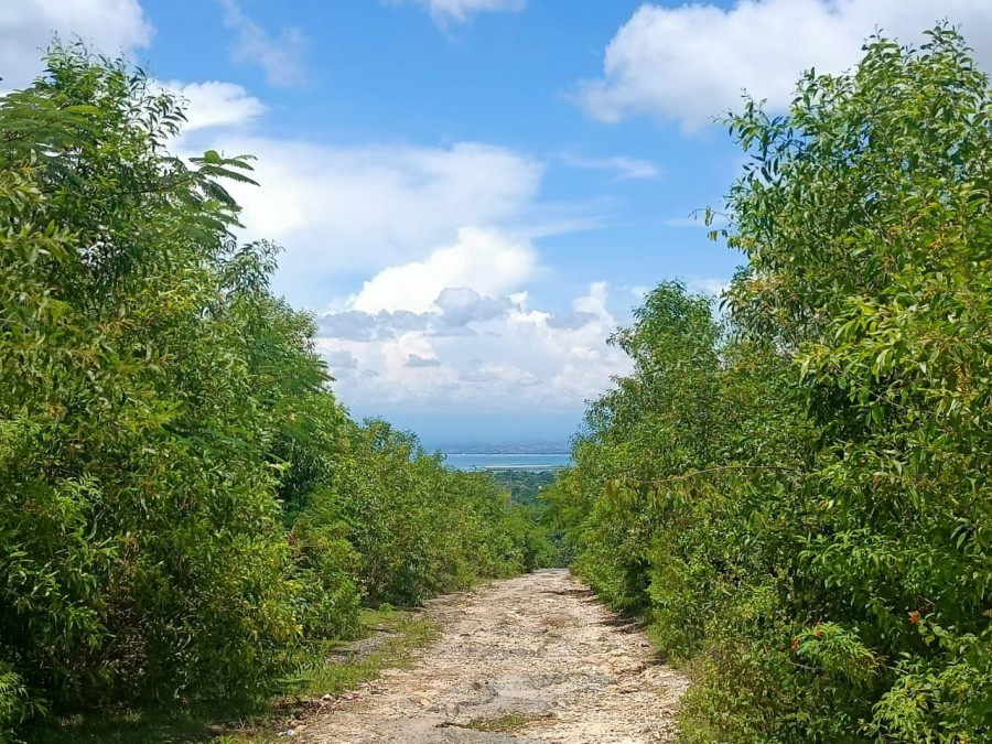 Jimbaran,Bali,Indonesia,Land,MLS ID