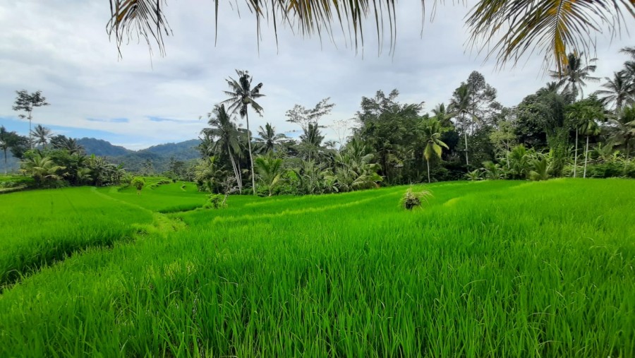 Karangasem,Bali,Indonesia,Land,MLS ID