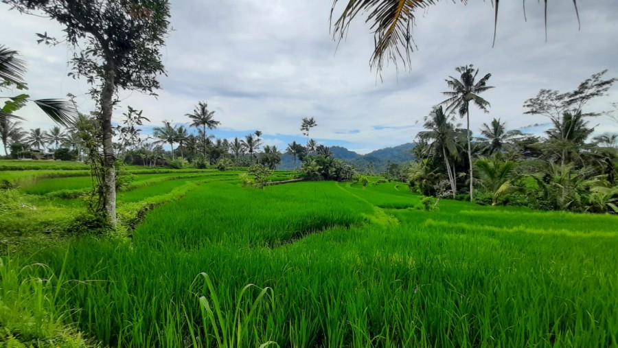 Karangasem,Bali,Indonesia,Land,MLS ID