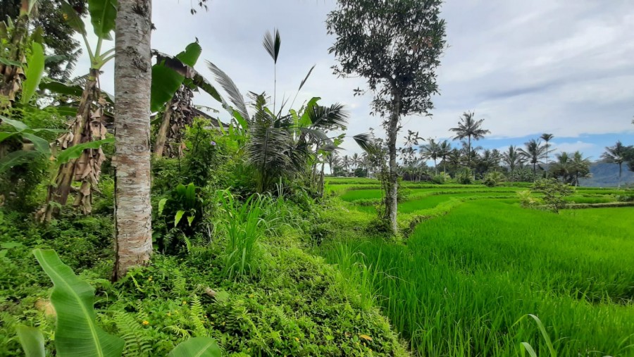 Karangasem,Bali,Indonesia,Land,MLS ID