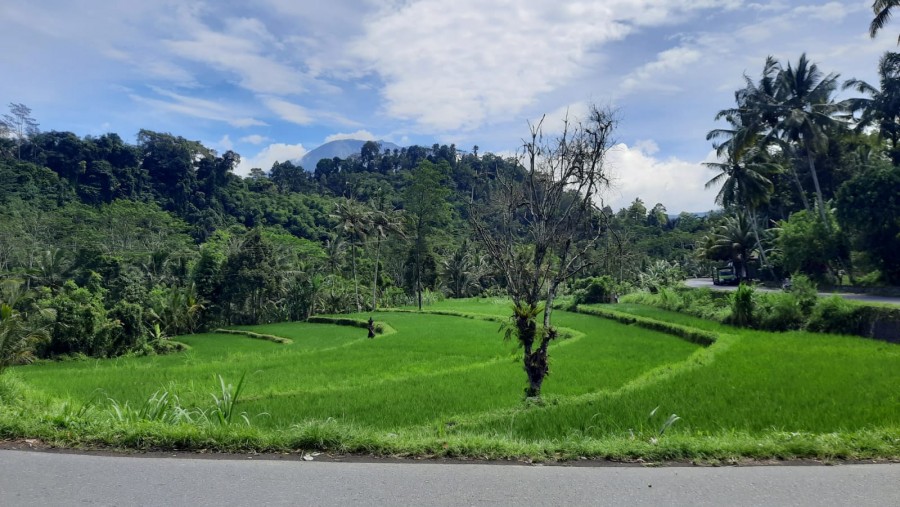 Karangasem,Bali,Indonesia,Land,MLS ID