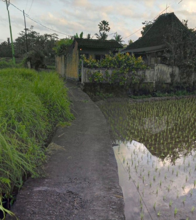 Ubud,Bali,Indonesia,Land,MLS ID