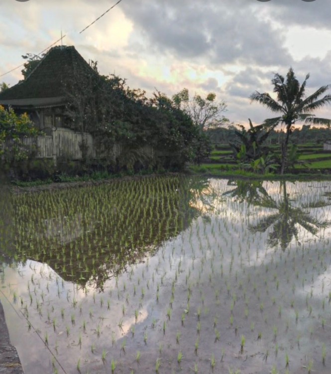 Ubud,Bali,Indonesia,Land,MLS ID