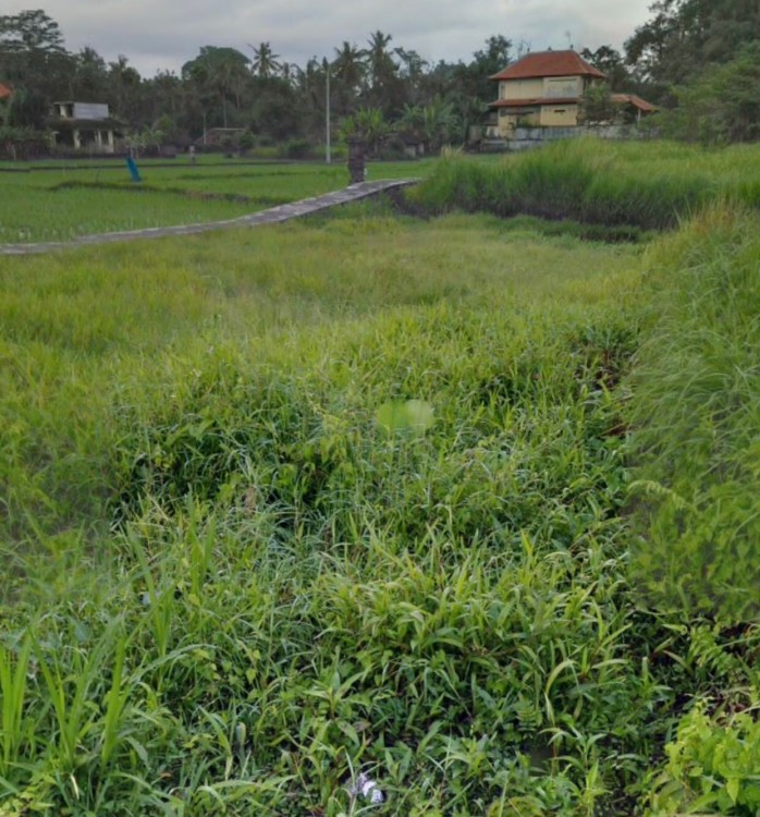 Ubud,Bali,Indonesia,Land,MLS ID