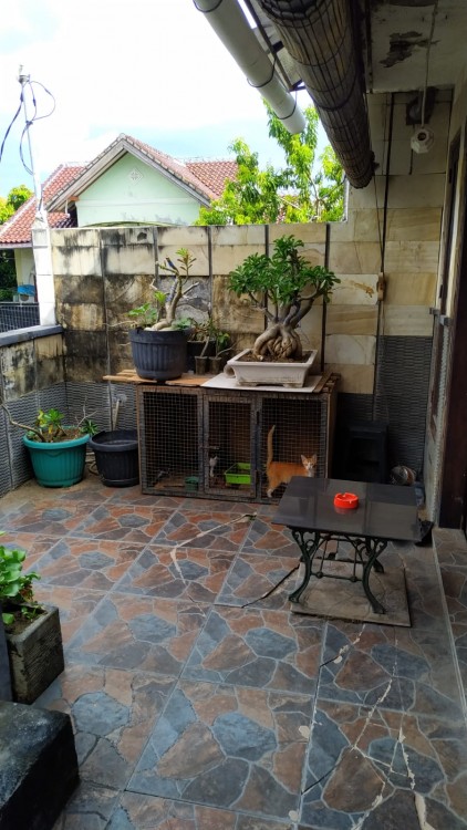 Denpasar,Bali,Indonesia,3 Bedrooms,1 Bathroom,Residential,MLS ID