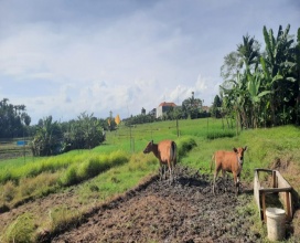 Kerobokan,Bali,Indonesia,Land,MLS ID