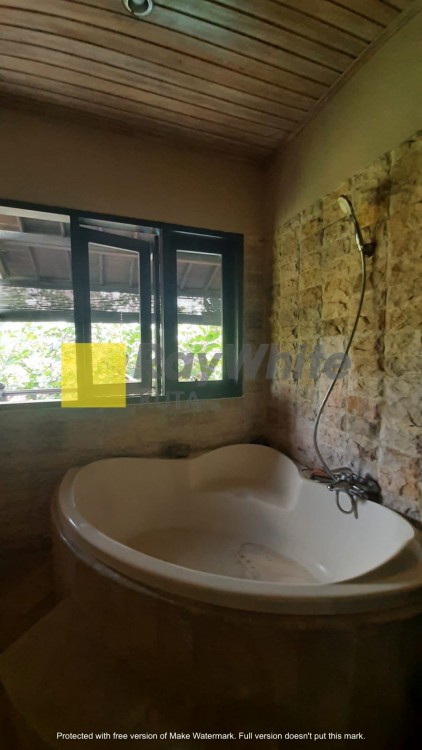 Canggu,Bali,Indonesia,5 Bedrooms,5 Bathrooms,Villa,MLS ID