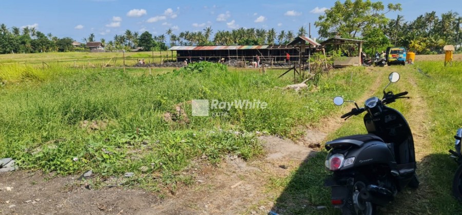 Cemagi,Bali,Indonesia,Land,MLS ID