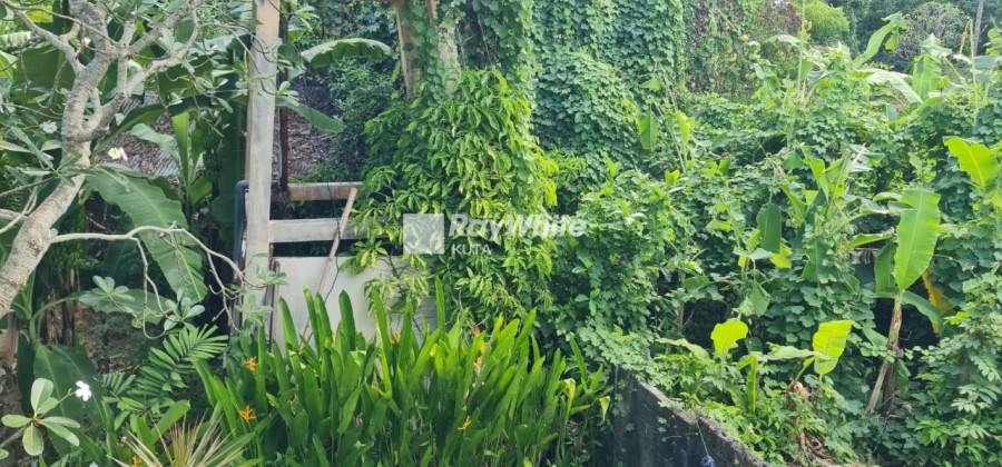 Legian,Bali,Indonesia,2 Bedrooms,2 Bathrooms,Villa,MLS ID