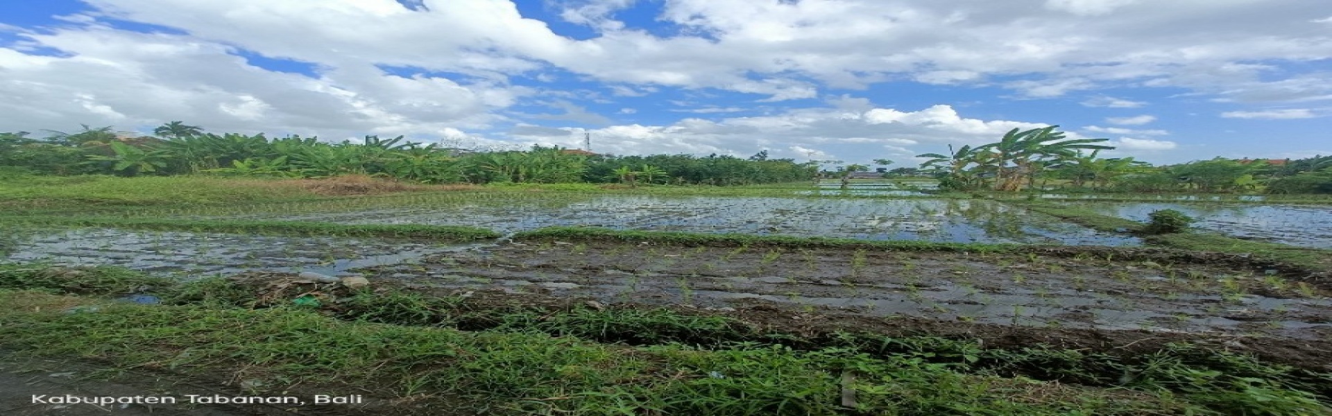 Tabanan,Bali,Indonesia,Land,MLS ID