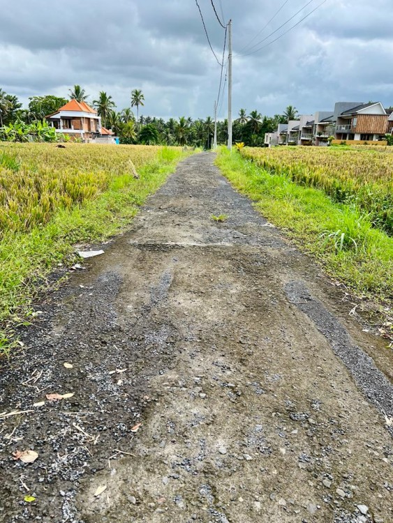 Ubud,Bali,Indonesia,3 Bedrooms,1 Bathroom,Villa,MLS ID