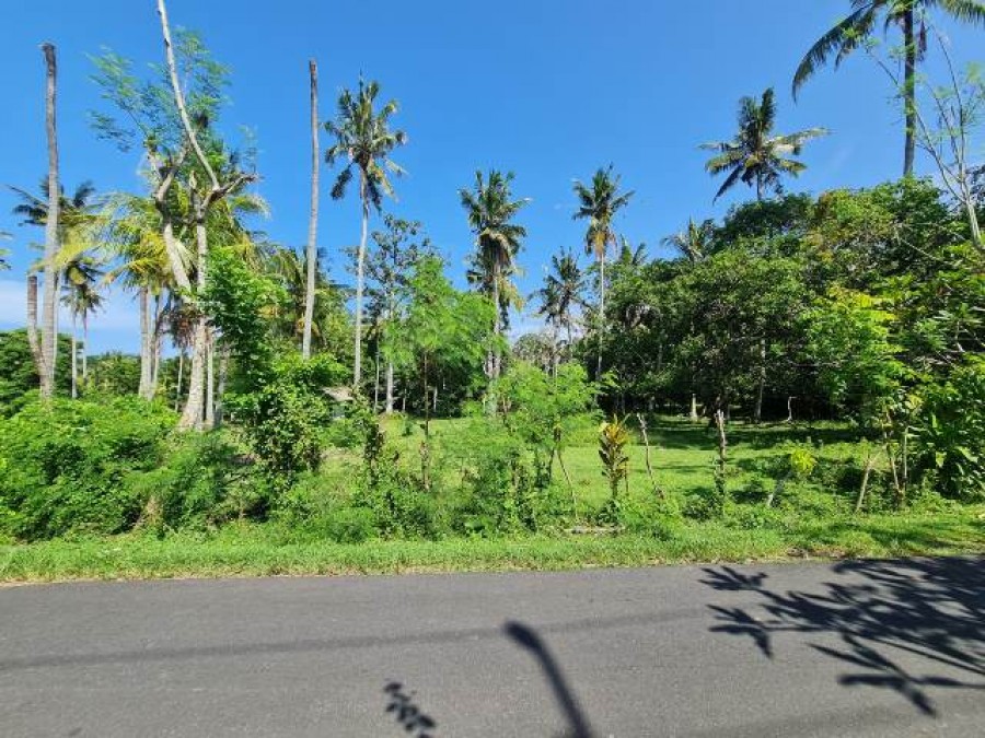 Tabanan,Bali,Indonesia,Land,MLS ID