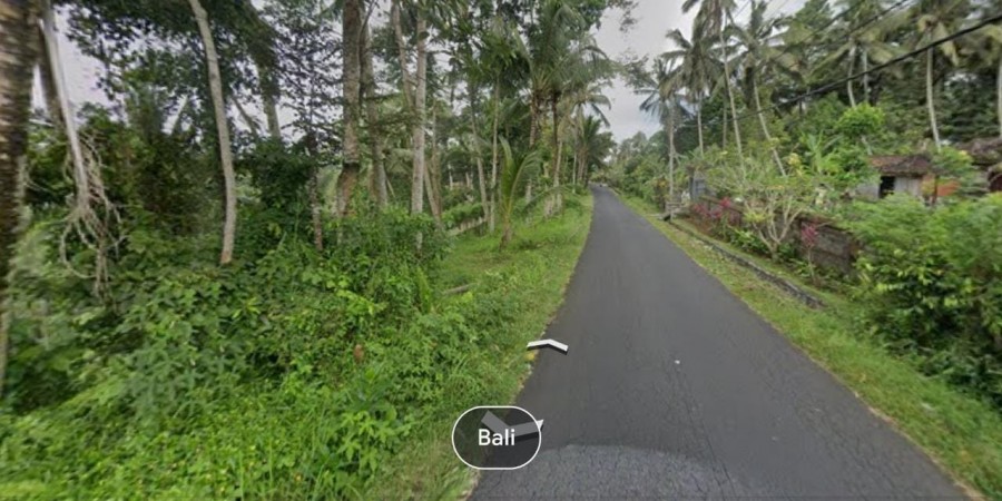 Gianyar,Bali,Indonesia,Land,MLS ID