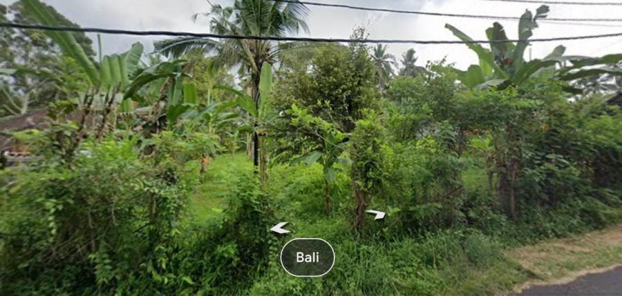 Gianyar,Bali,Indonesia,Land,MLS ID