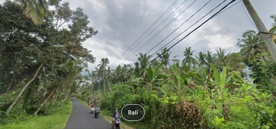 Gianyar,Bali,Indonesia,Land,MLS ID