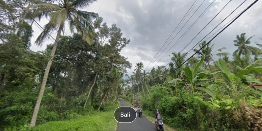 Gianyar,Bali,Indonesia,Land,MLS ID