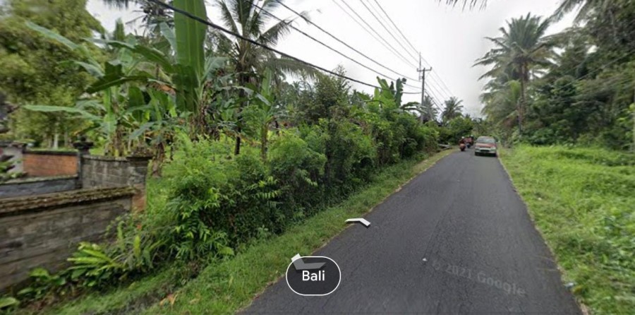 Gianyar,Bali,Indonesia,Land,MLS ID