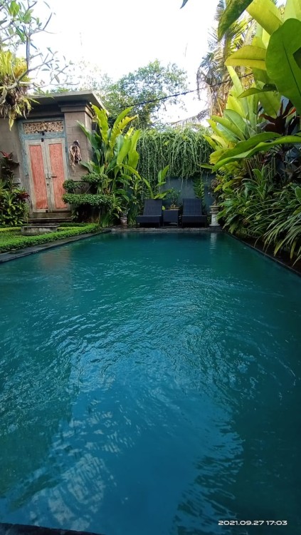 Ubud,Bali,Indonesia,2 Bedrooms,2 Bathrooms,Villa,MLS ID