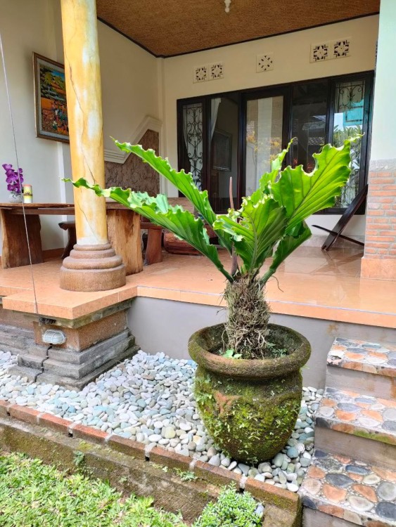 Ubud,Bali,Indonesia,4 Bedrooms,4 Bathrooms,Apartment,MLS ID