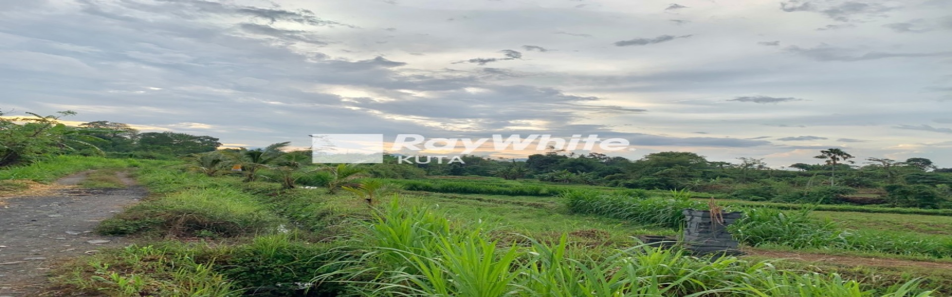 Gianyar,Bali,Indonesia,Land,MLS ID