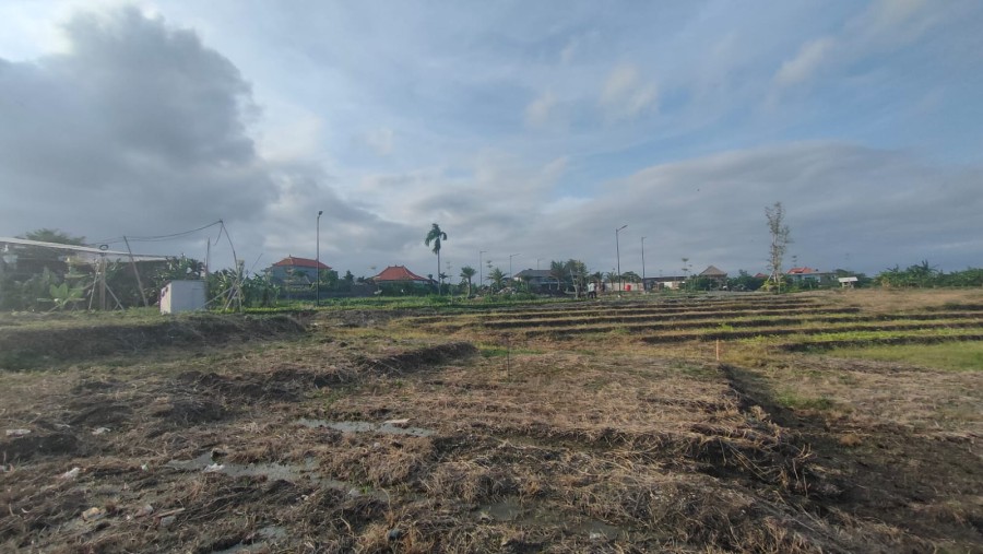 Canggu,Bali,Indonesia,Land,MLS ID