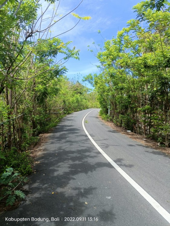 Gianyar,Bali,Indonesia,Land,MLS ID