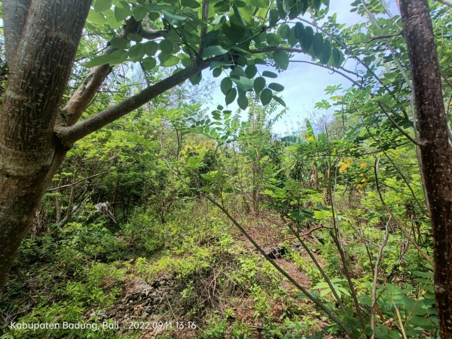 Gianyar,Bali,Indonesia,Land,MLS ID