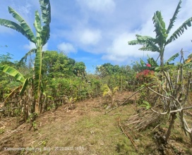 Gianyar,Bali,Indonesia,Land,MLS ID